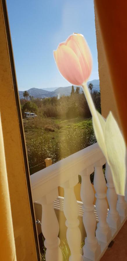 Apartamento Mar Y Sol, Denia Luaran gambar